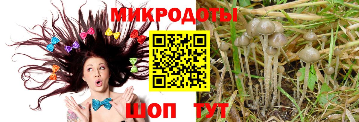Черкесск  Галлюциногенные грибы мицелий  Галлюциногенные грибы ЛСД  Вход с VPN 